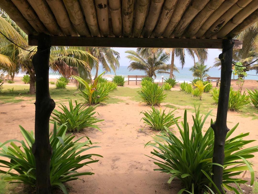 The Akwidaa Inn エクステリア 写真
