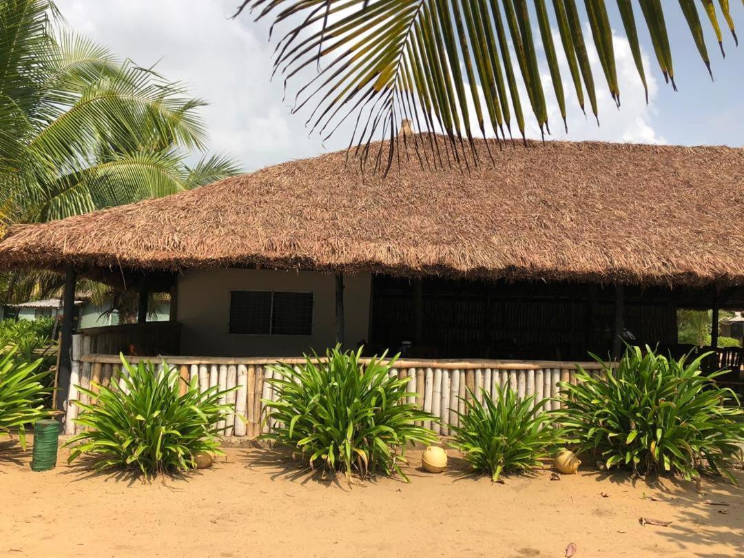 The Akwidaa Inn エクステリア 写真